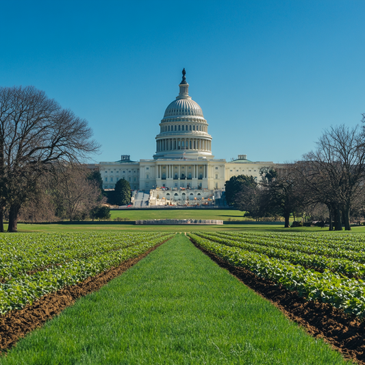 Why Hemp THC is Legal: Insights from the 2018 Farm Bill and Vitam’s Commitment to Compliance